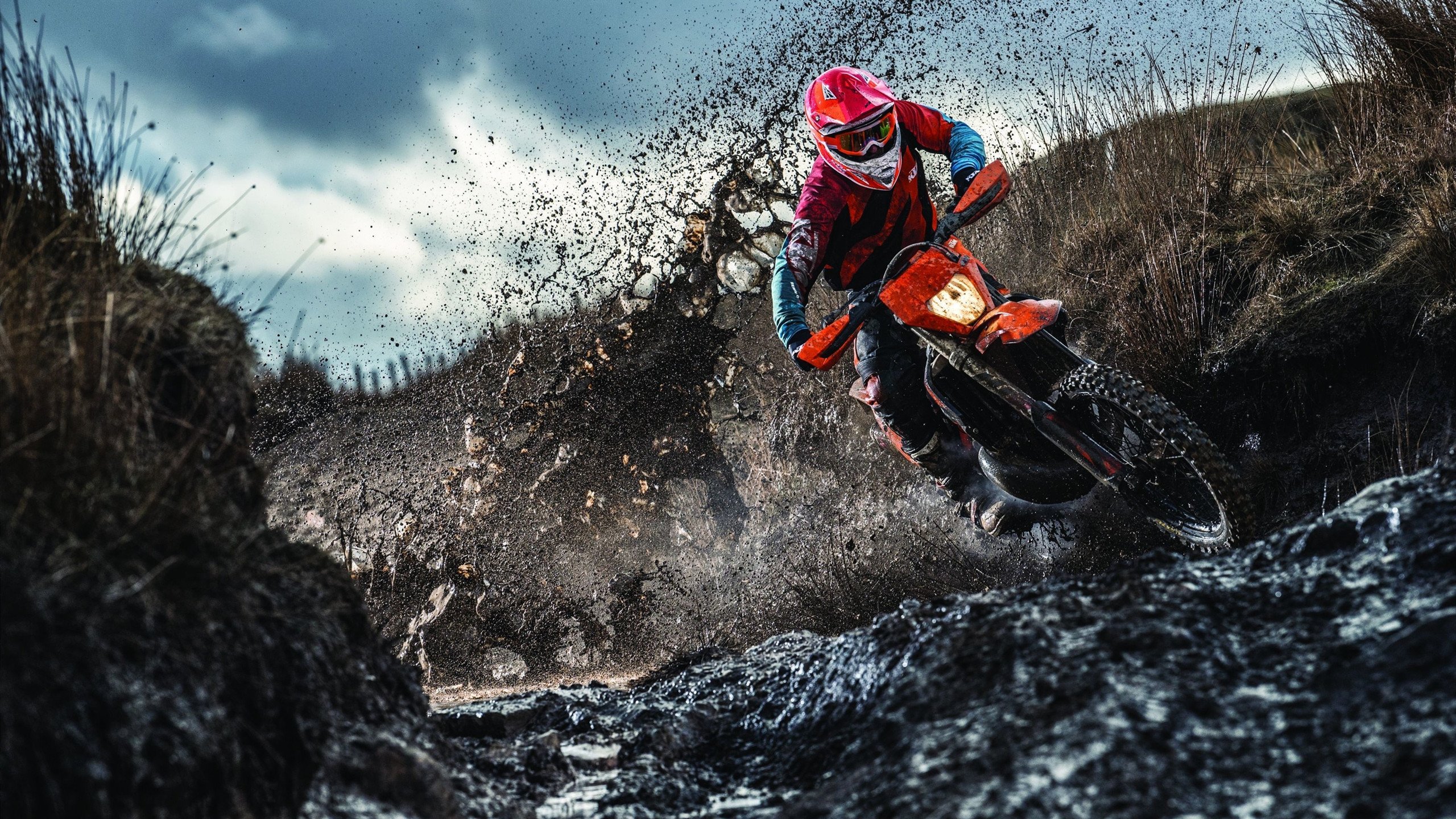 摩尔线程IPO迈出关键一步,80亿募资箭在弦上,摩尔线程股票7月再融资